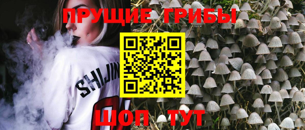Псилоцибиновые грибы Magic Shrooms Томск
