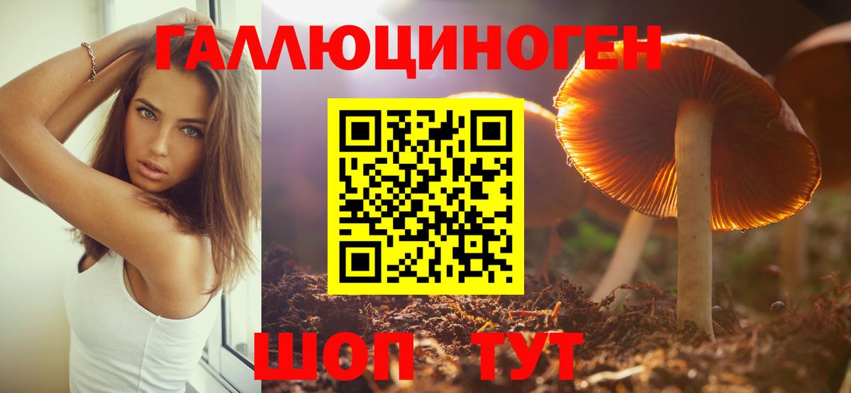 Томск  Галлюциногенные грибы Cubensis  Псилоцибиновые грибы прущие грибы  Вход с VPN 
